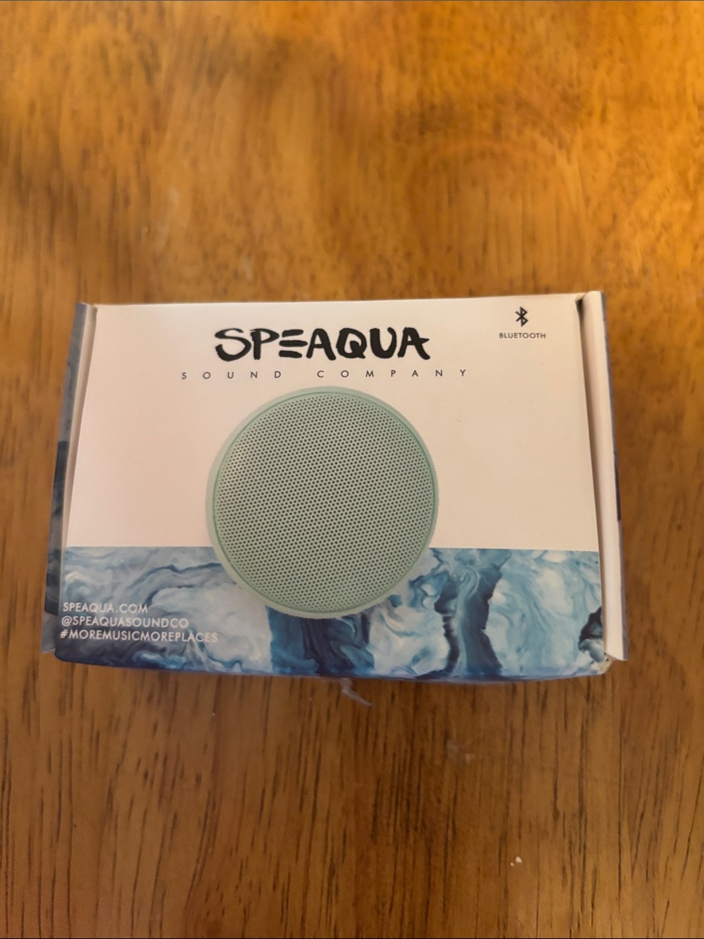 Aqua Speaqua Portable Bluetooth Speaker in Mint